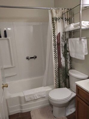 Hair dryer, towels, soap, shampoo