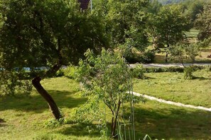 Terrain de l’hébergement 