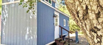 Desert Blue Dream - Adorable Tiny House in the Mountains of Julian