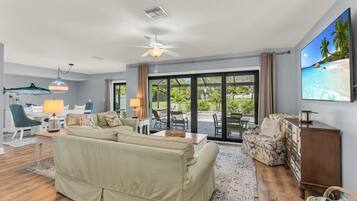 Smart TV, books, computer monitors