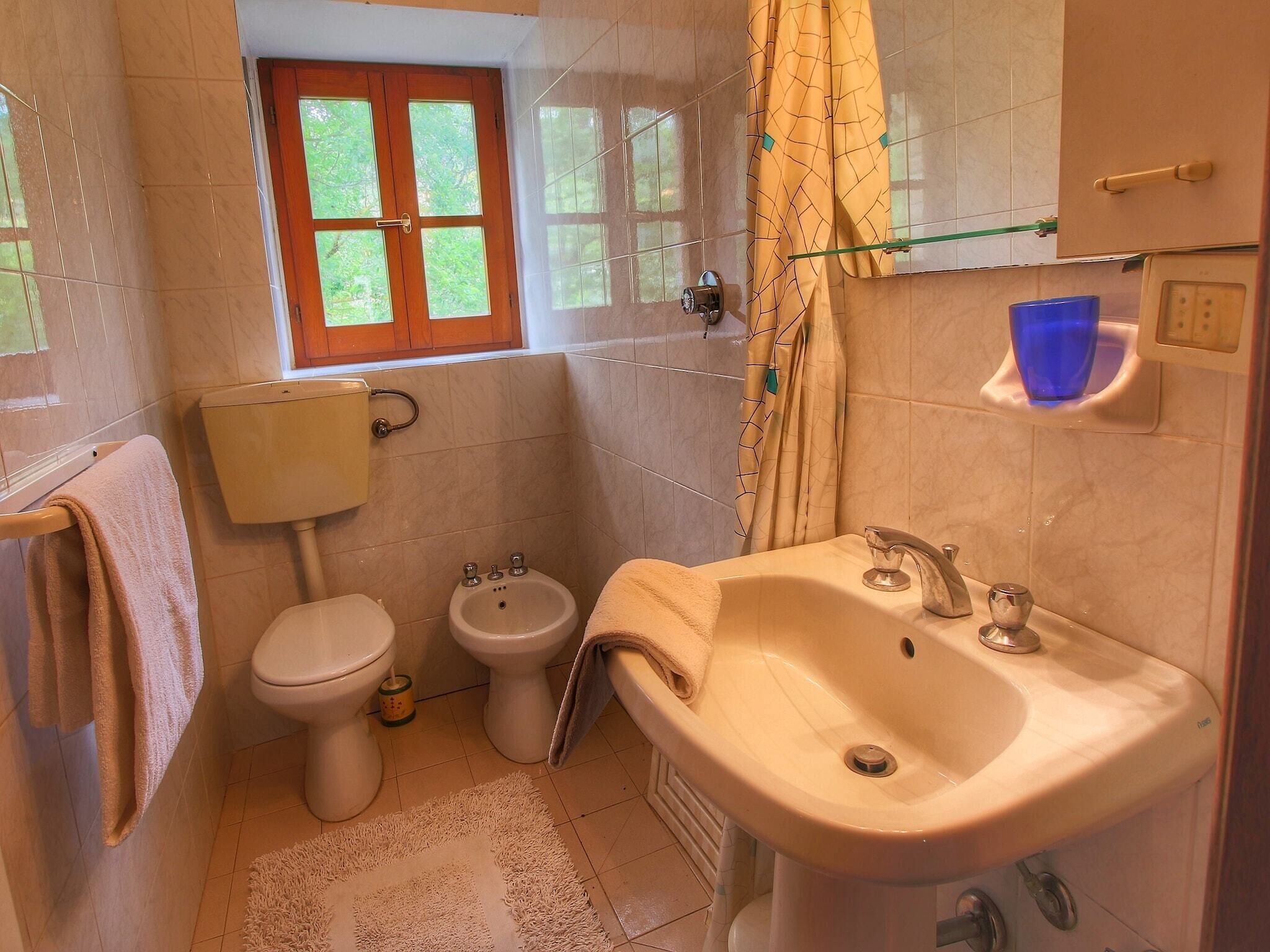 A bathroom with a toilet, bidet, sink, and a window with a view of greenery.