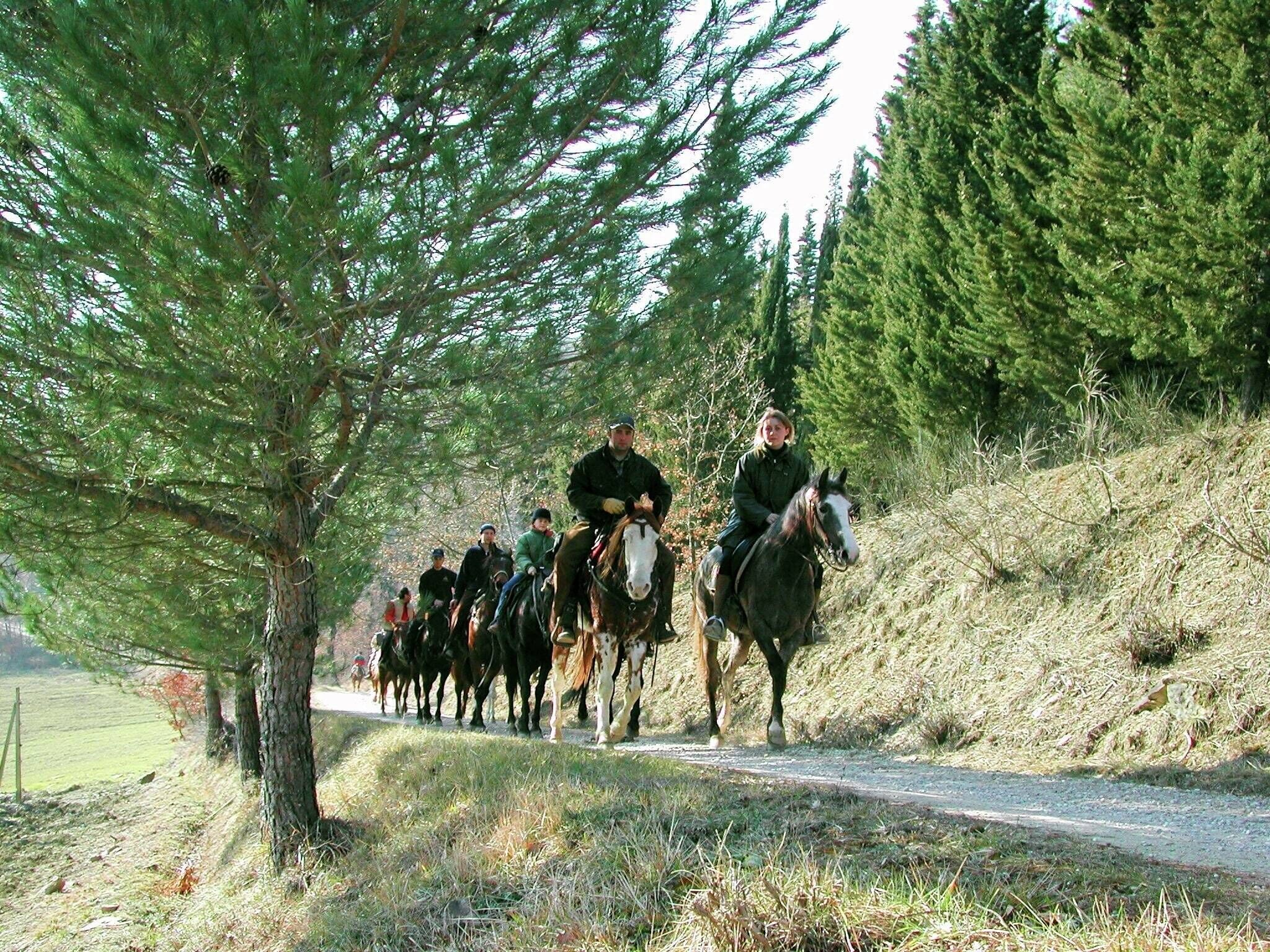 Un groupe de personnes à cheval, qui emprunte un chemin étroit bordé d’arbres.