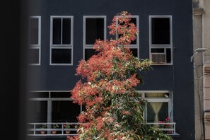 Udvendig detalje