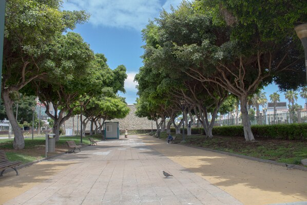 Un viale lastricato fiancheggiato da alberi e panchine, immerso nel verde di un parco.