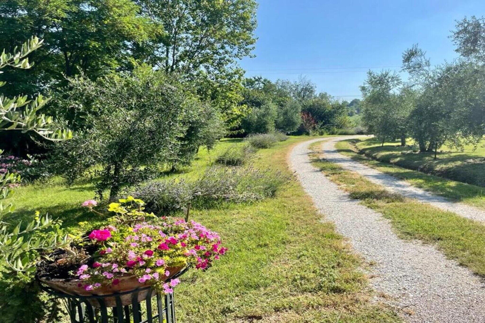 A gravel path surrounded by lush greenery and flowering plants.