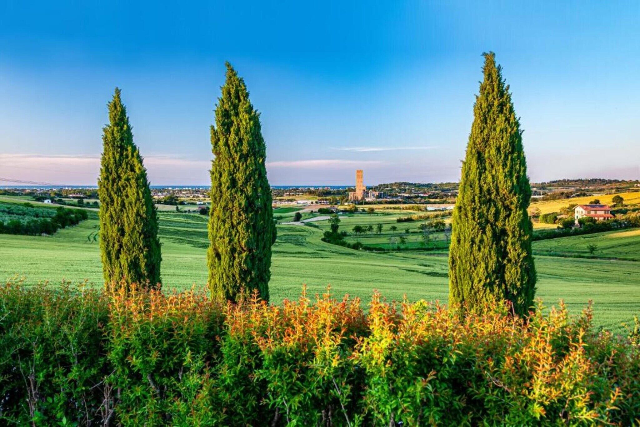 A landscape with three tall cypress trees in the foreground, a clear blue sky, and a distant building.