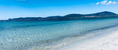 Ranta