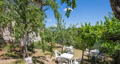 Holiday Home in Sellano with Pool & Sun Terrace