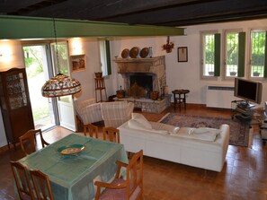 Télévision, cheminée, jeux vidéo, chaîne hi-fi