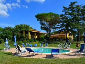 Pool - Farmhouse in Vinci near Leonardo Museum (Vinci)