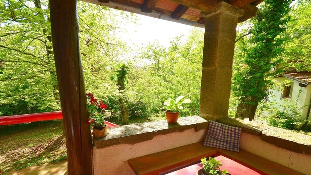Un área de estar al aire libre techada, con una mesa y sillas, rodeada de plantas en macetas y vista a un jardín.