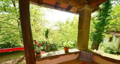 Vintage vacation home