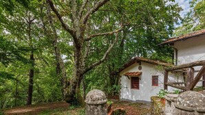 Una casa de piedra rústica con tejado de tejas, rodeada de abundante vegetación y un camino de piedra.