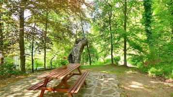 Un tavolo da picnic in una zona boschiva con un sentiero in pietra.
