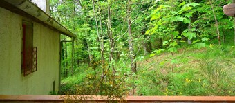 Peaceful Retreat with shared Pool