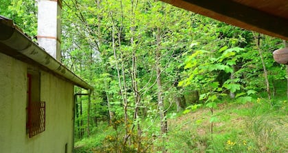 Peaceful Retreat with shared Pool