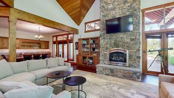 TV, fireplace, books