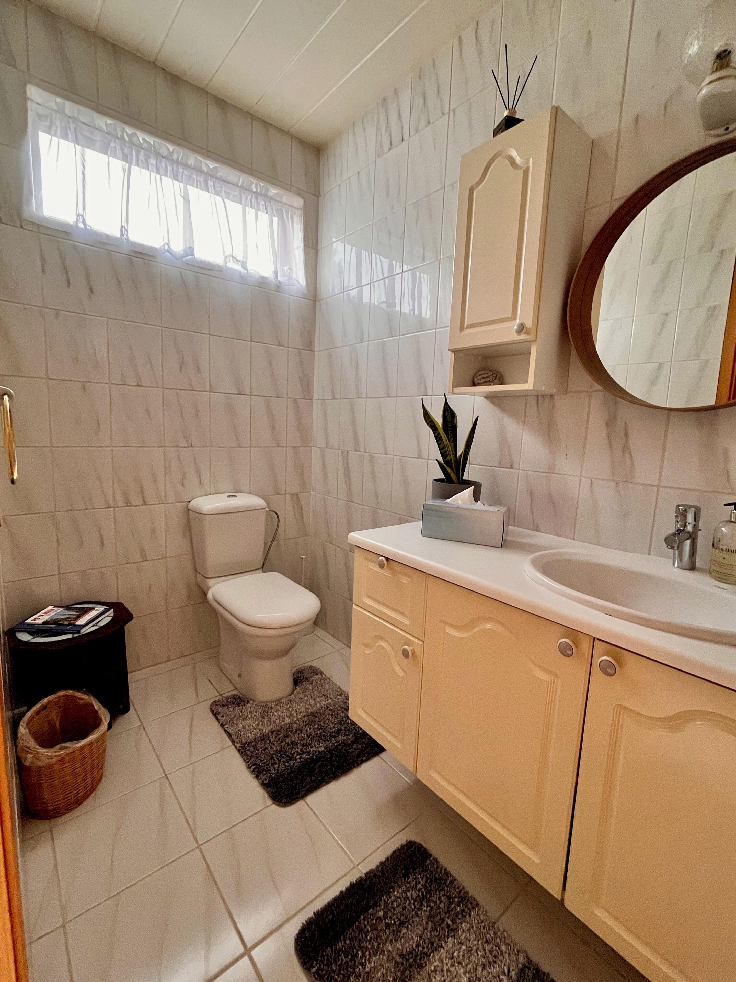 A bathroom with a toilet, sink, mirror, and a potted plant.