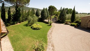 A well-maintained garden with a stone pathway leading to a gated entrance, surrounded by various trees and shrubs. - Holiday home in Cortona (Cortona)