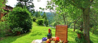 Farmhouse in Cortona