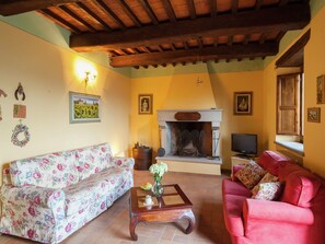 TV, fireplace, DVD player, table tennis