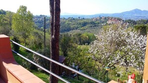 Un balcón con vistas a un valle, un árbol y un gallo.