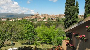 Vista de un pueblo con edificios y zonas verdes.