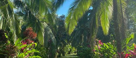 Terrein van de accommodatie