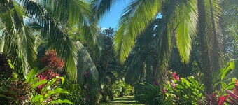 Rustic house in a 4HA property near Puerto Viejo de Sarapiqui. River & Trails.