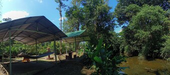 Rustic house in a 4HA property near Puerto Viejo de Sarapiqui. River & Trails.