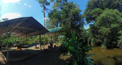 Rustic house in a 4HA property near Puerto Viejo de Sarapiqui. River & Trails.