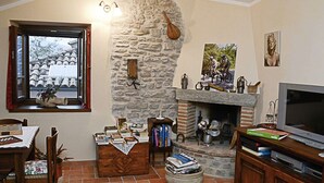 Ein gemütliches Wohnzimmer mit Kamin aus Stein, einem Fernseher und einer Bücherwand voller Bücher.