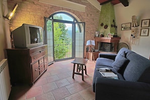 TV, fireplace, ping pong