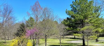 Modern 2 bed cabin 2 miles from Lake Nimrod and within 30 mins of 4 state parks