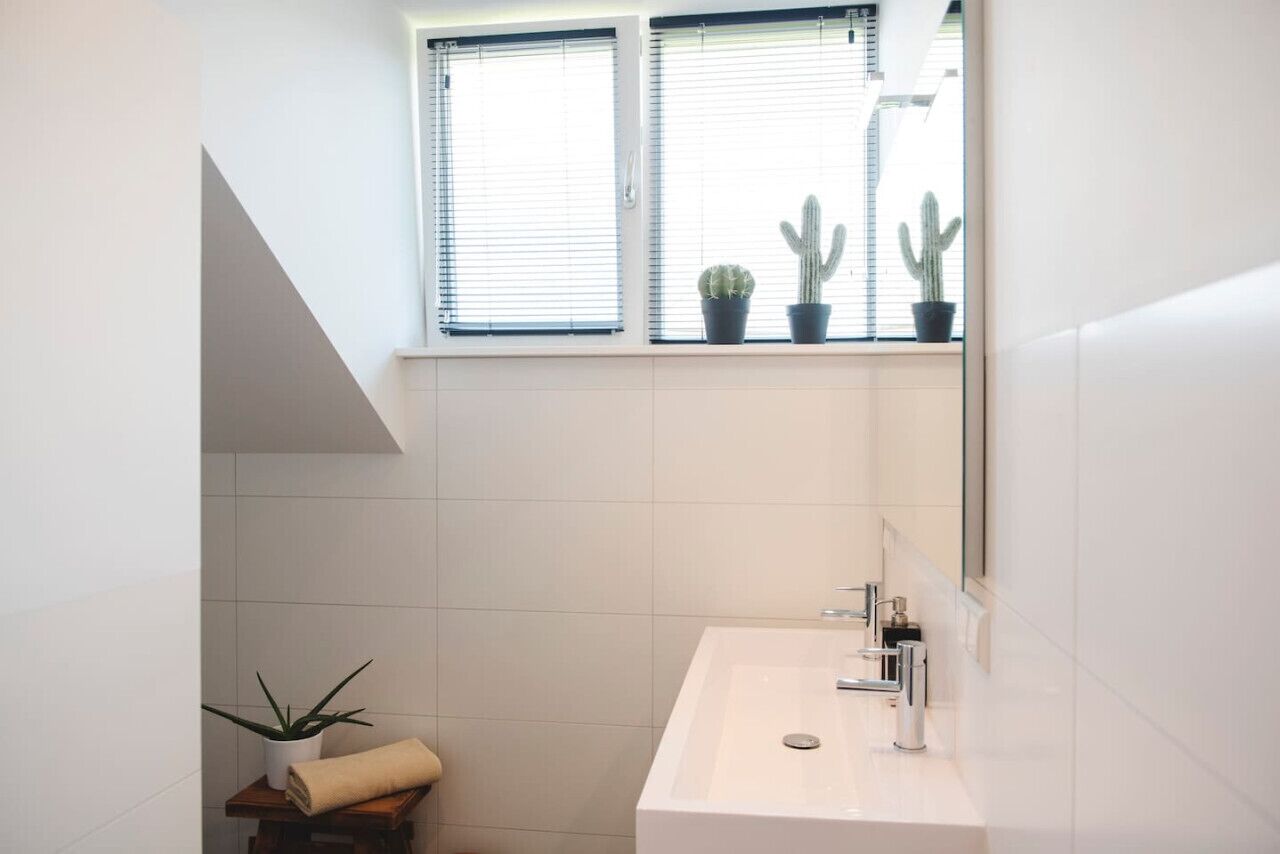 Ein modernes Badezimmer mit Waschbecken, Spiegel und einem Fenster mit Kakteen in Töpfen.