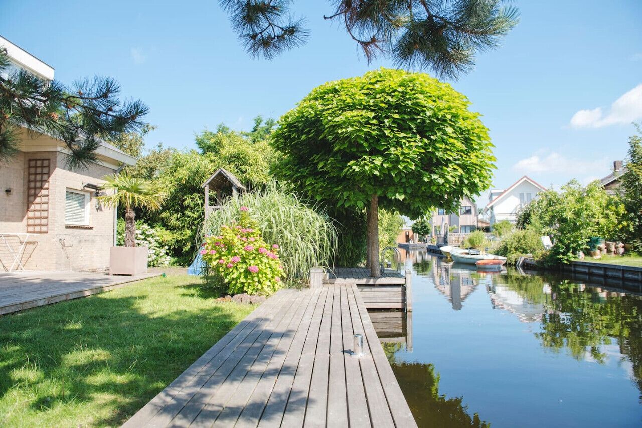Une jetée en bois mène à une étendue d’eau calme, avec un grand arbre et de la végétation sur la gauche.
