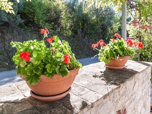 Áreas de la propiedad