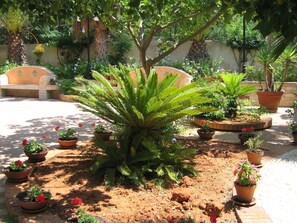 Garden [summer]