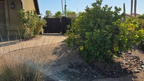 Un barrio residencial con entrada pavimentada, cerca de madera y variedad de vegetación, incluyendo arbustos y una palmera.
