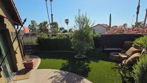 Un patio trasero residencial con césped, un árbol pequeño, una zona de patio con un brasero y un cactus.