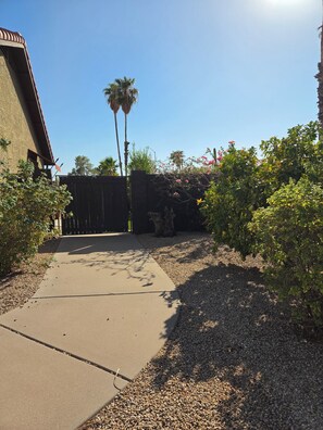 A paved pathway leading to a gated area with a palm tree and flowering plants.