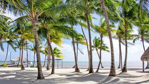 Una playa con palmeras, una estructura de techo de paja y un barco al fondo.