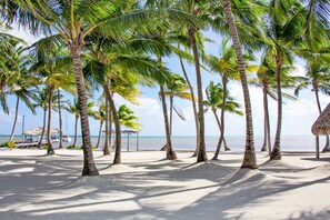 Deluxe Condo, Ensuite, Beach View (One Bedroom ) | View from property - Villas De Isla Bonita -D1 (San Pedro)