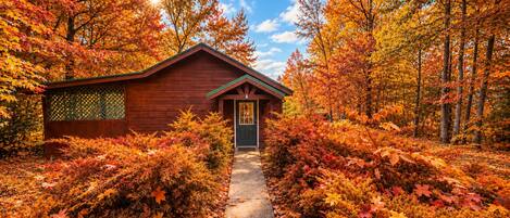 A cabin with a wooden exterior, a front door, and a pathway leading to it.