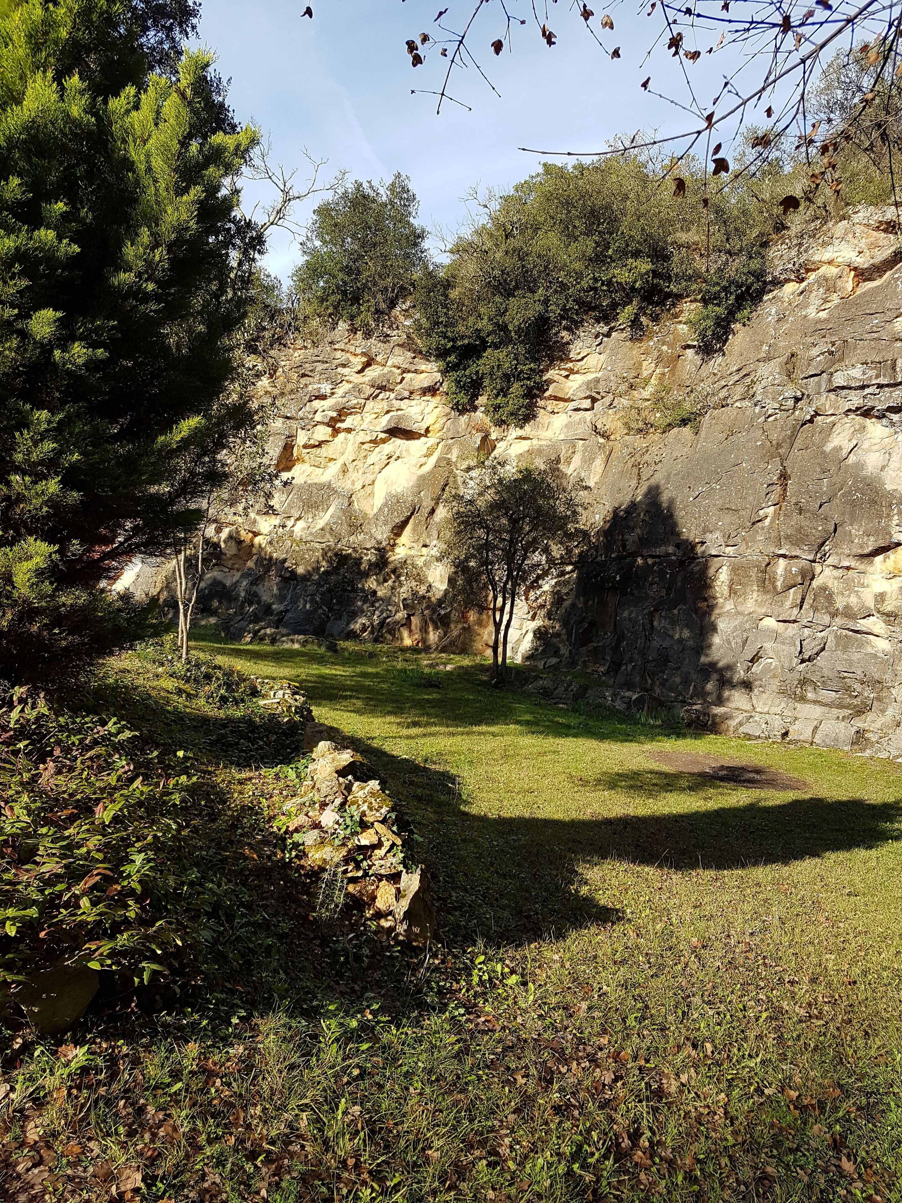 Un paisaje natural con un área cubierta de pasto, árboles y acantilados rocosos.