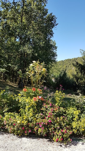 Les Cigalises, face au château de Bruniquel au cœur da la vallée de l'Aveyron