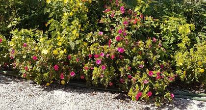 Les Cigalises, face au chĂąteau de Bruniquel au cĆur da la vallĂ©e de l'Aveyron
