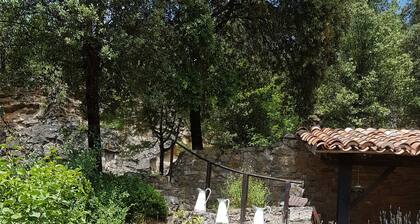 Les Cigalises, face au chĂąteau de Bruniquel au cĆur da la vallĂ©e de l'Aveyron