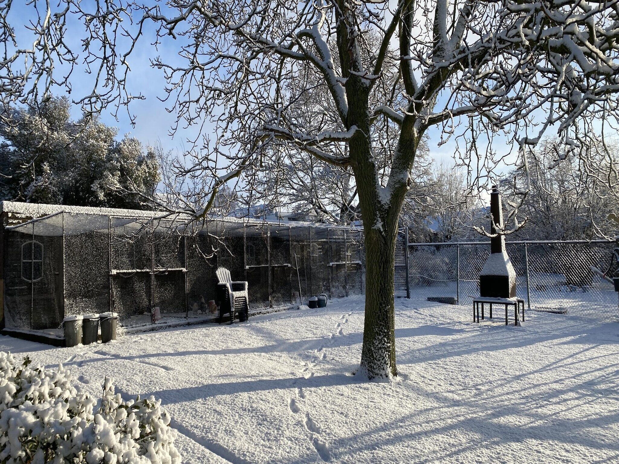 Jardin [hiver]