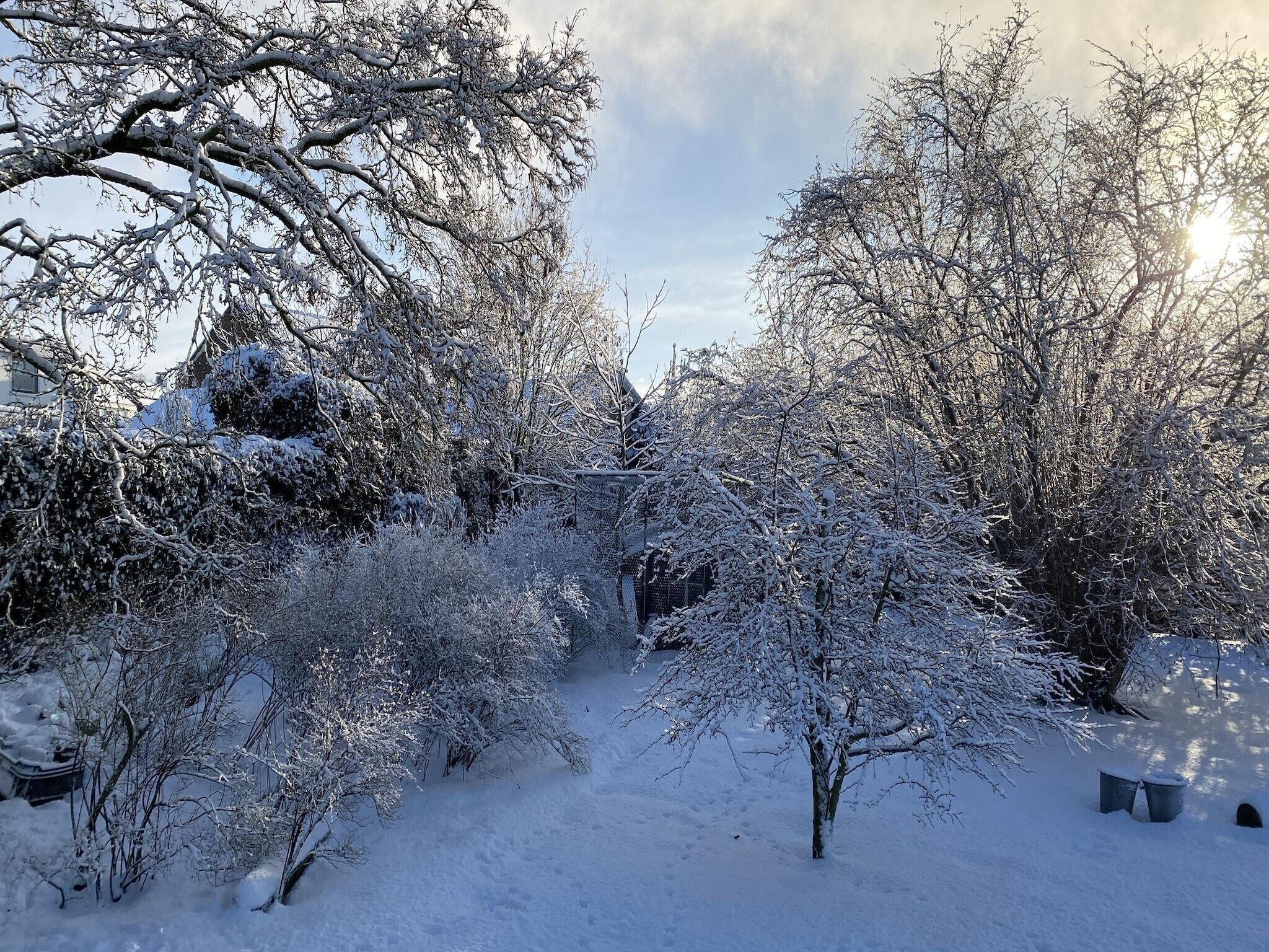 Enceinte de l’hébergement